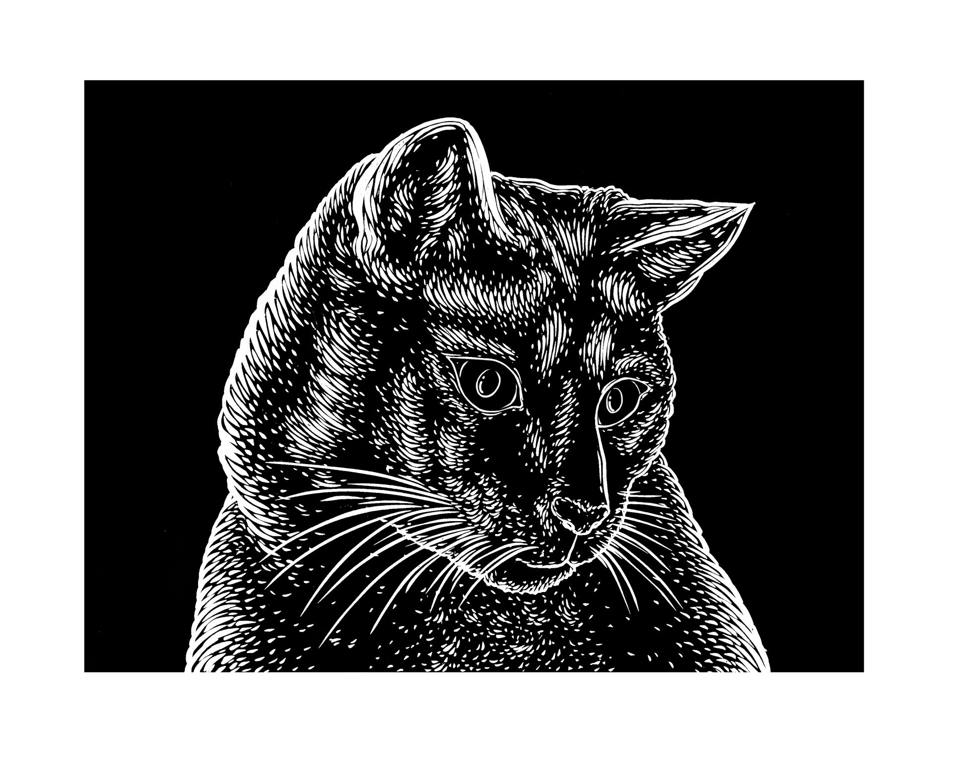 Cat / linocut on Japanese Masa paper / 28x31cm
.