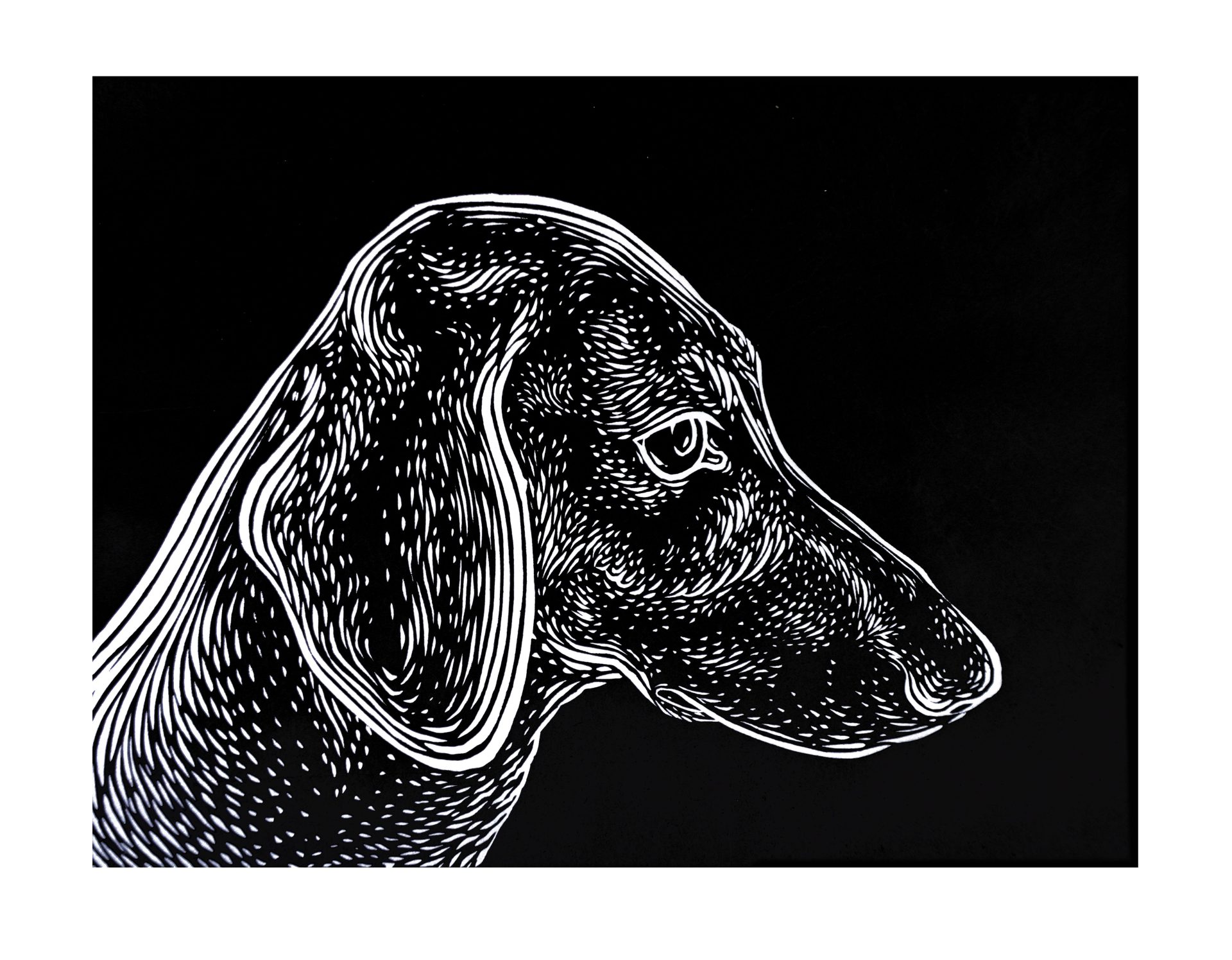 Dog / linocut on Japanese Masa paper / 28x31cm
.